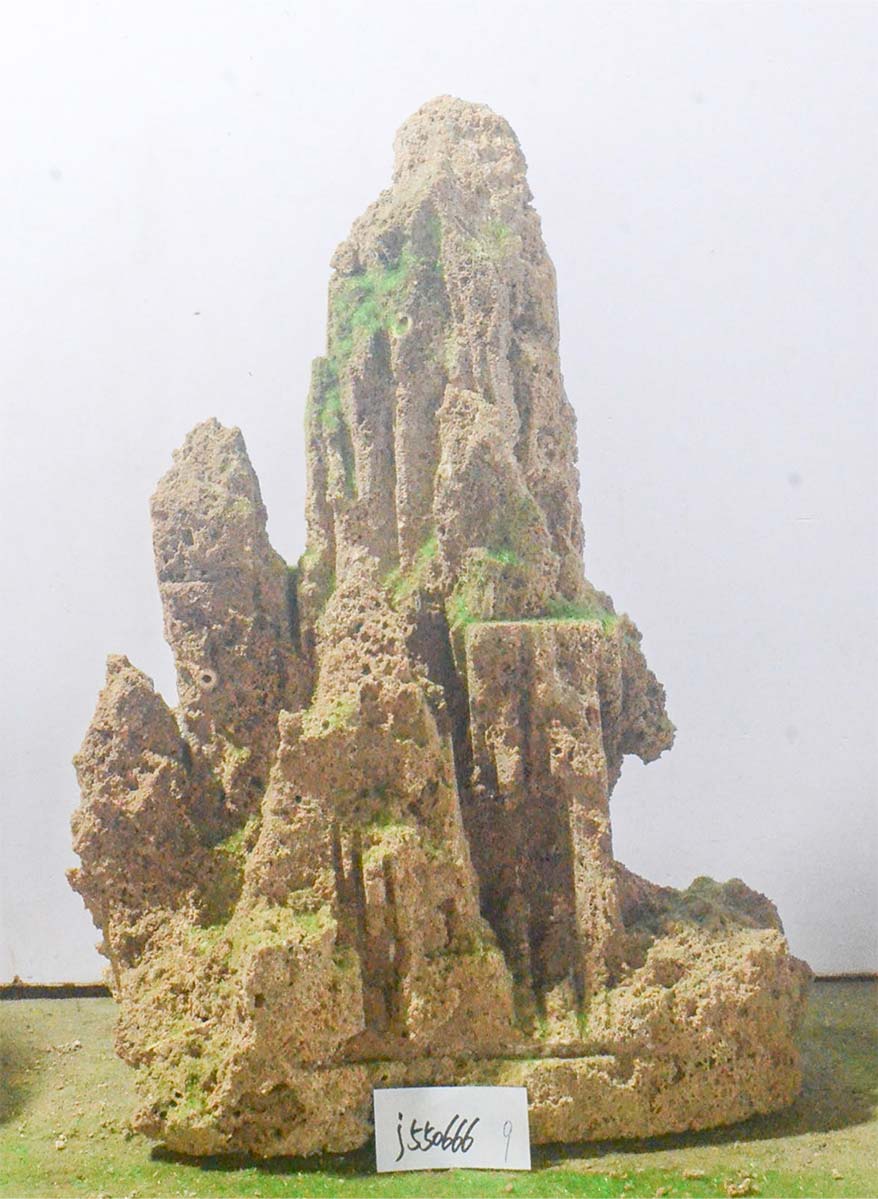 j550666