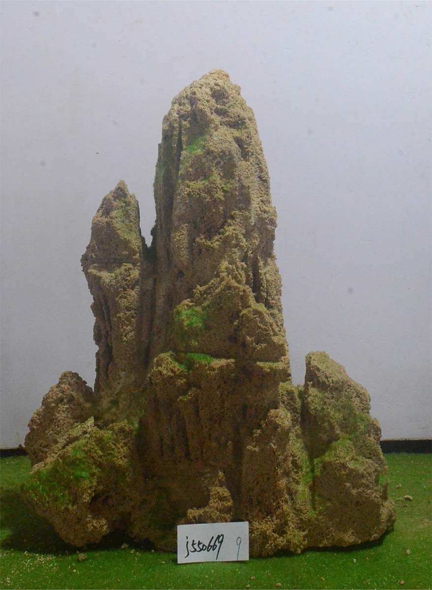 j550669