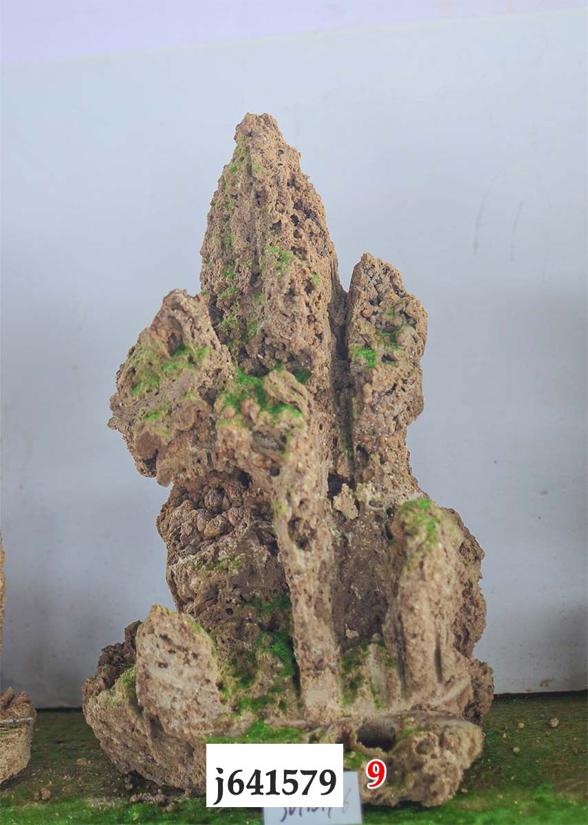 j641579
